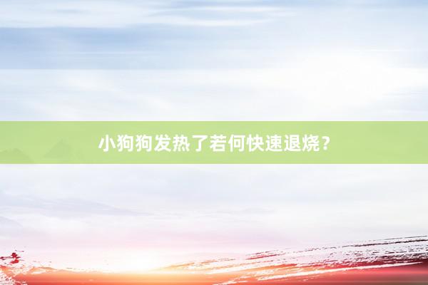 小狗狗发热了若何快速退烧？