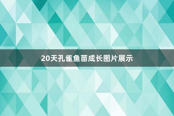 20天孔雀鱼苗成长图片展示